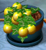 plant tycoon game