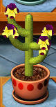 Viola Pipe Cactus